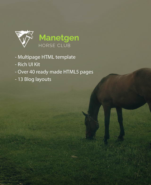 Manetgen - Верховая езда